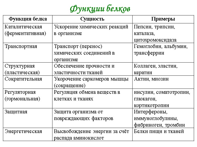 Функции белков Функции белков